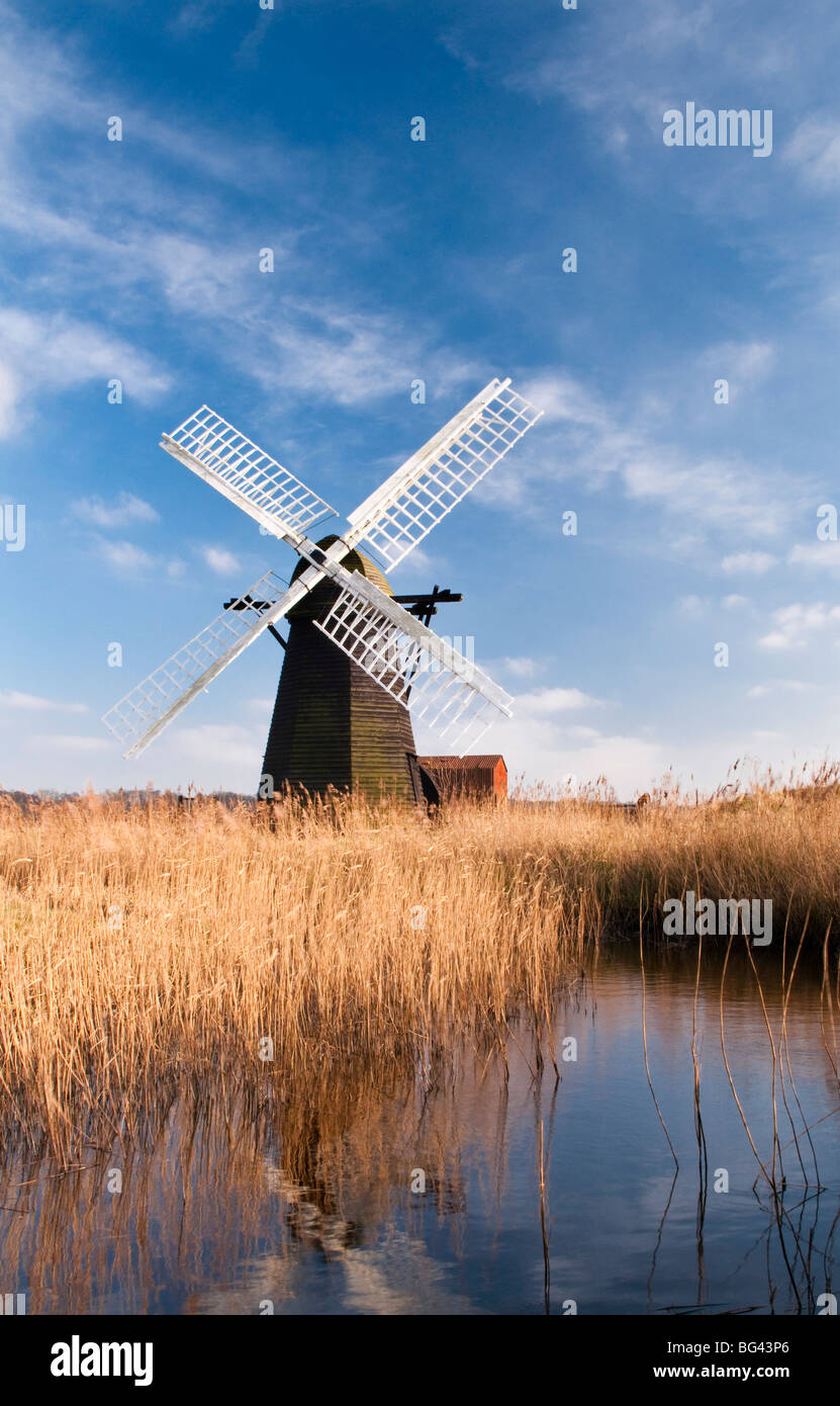 Herringfleet Moulin de drainage, Suffolk, UK Banque D'Images