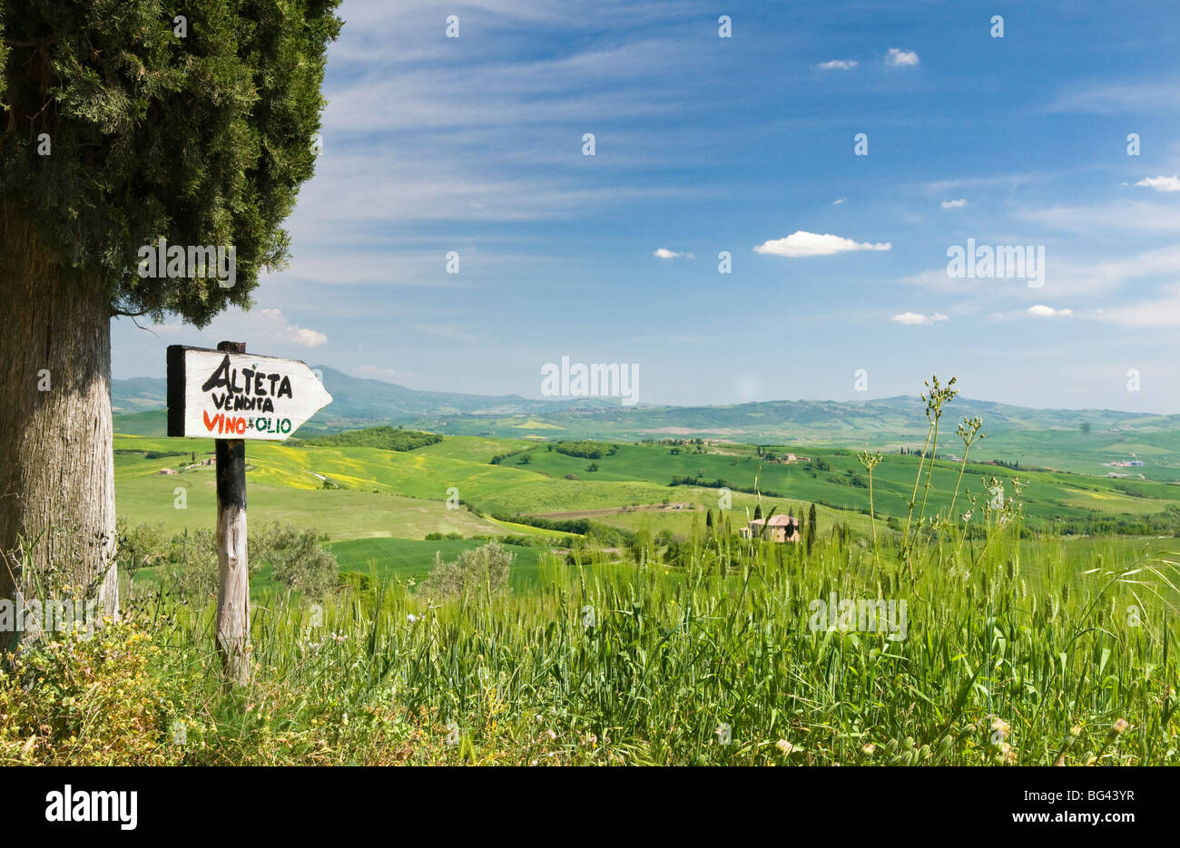 Paysage toscan traditionnel près de San Quirico, Valle de Orcia, Toscane, Italie Banque D'Images