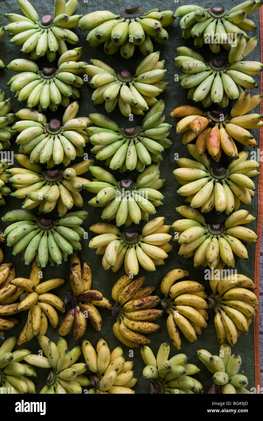 Les bananes en vente sur un étal de marché, Miri, Sarawak, Bornéo Malaisien, en Malaisie, en Asie du Sud-Est, l'Asie Banque D'Images