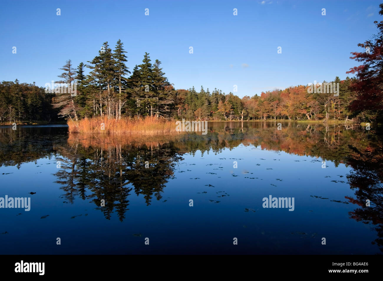 Le Japon, l'île d'Hokkaido, Péninsule de Shiretoko, le Parc National de Shiretoko, Shiretoko Shiretoko (cinq lacs Rendez-ko) Banque D'Images