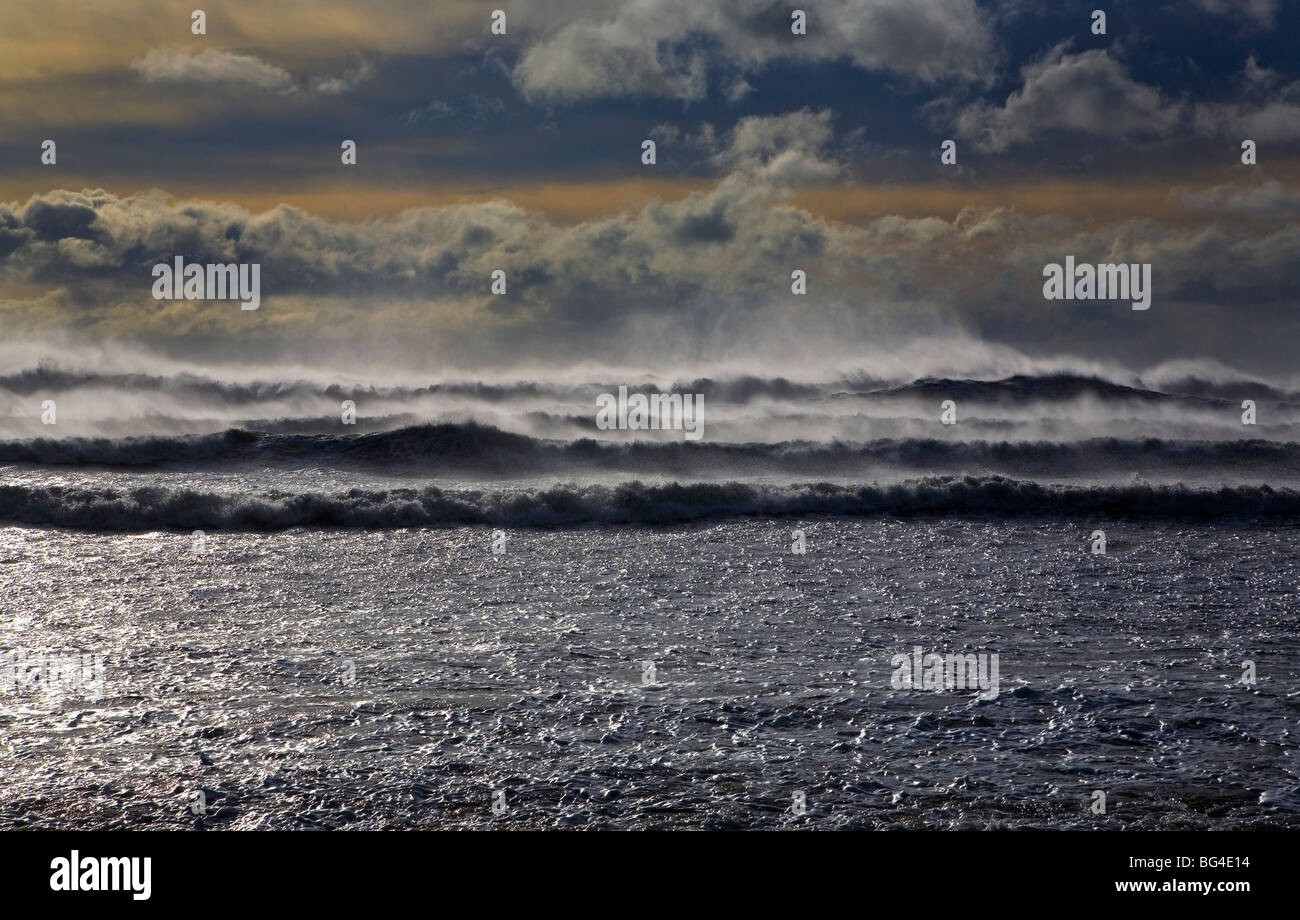 Une mer à Ballydowane Cove, le Copper Coast, comté de Waterford, Irlande Banque D'Images