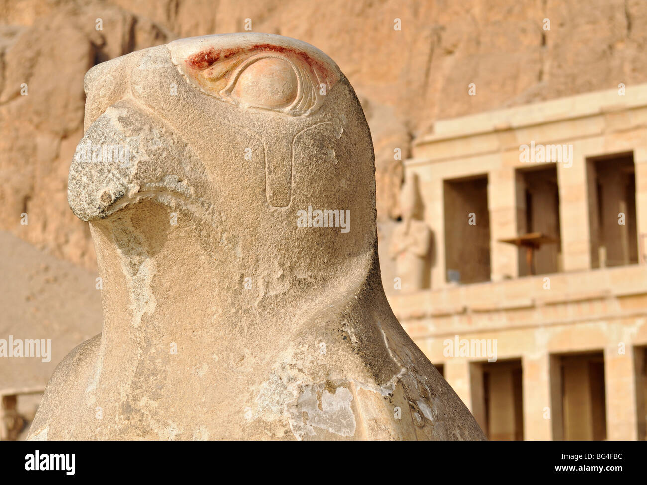 Close-up de faucon (Horus) Statue temple funéraire de la Reine Hatshepsout à Deir el Bahri, près de Louxor, Egypte Banque D'Images