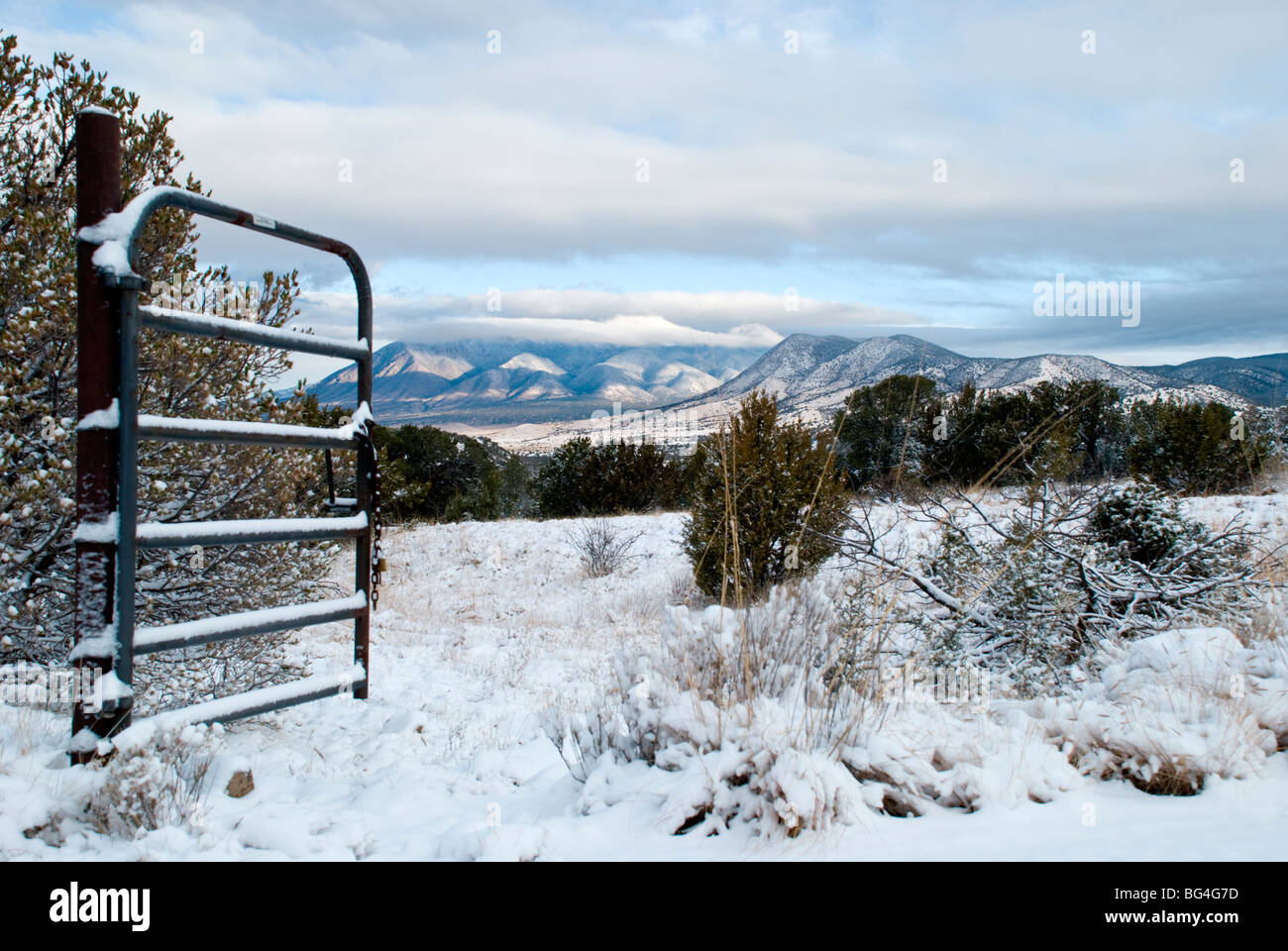 La beauté de la montagnes Sacramento dans le sud du Nouveau-Mexique est renforcée après la première neige de la saison. Banque D'Images