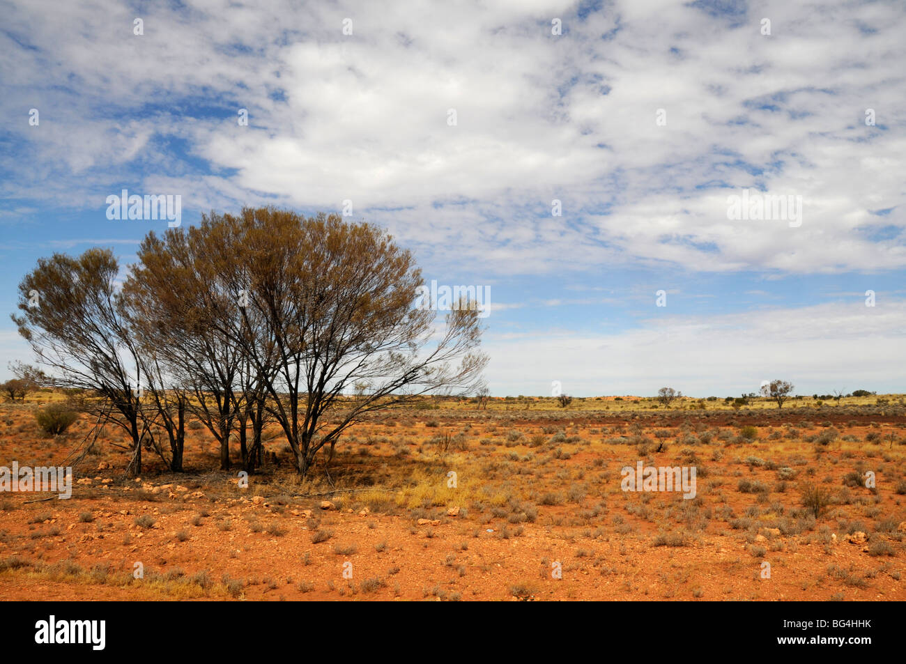 Une partie de l'arbuste sauvage avec désert rouge et arbres dans le Territoire du Nord de l'Australie Banque D'Images