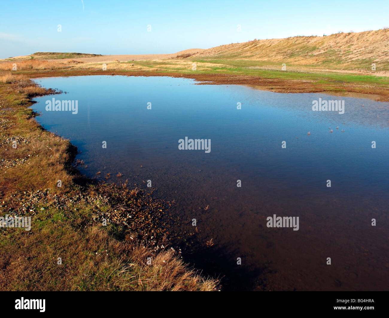 Salthouse, piscine par parking Plage, Norfolk, UK Banque D'Images