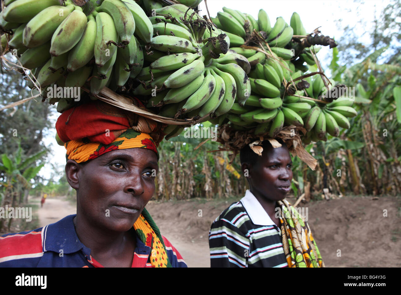 Pendant la guerre au Burundi d'un demi-million de personnes ont fui vers la Tanzanie.Maintenant ils revenir et reconstruire leurs maisons Banque D'Images