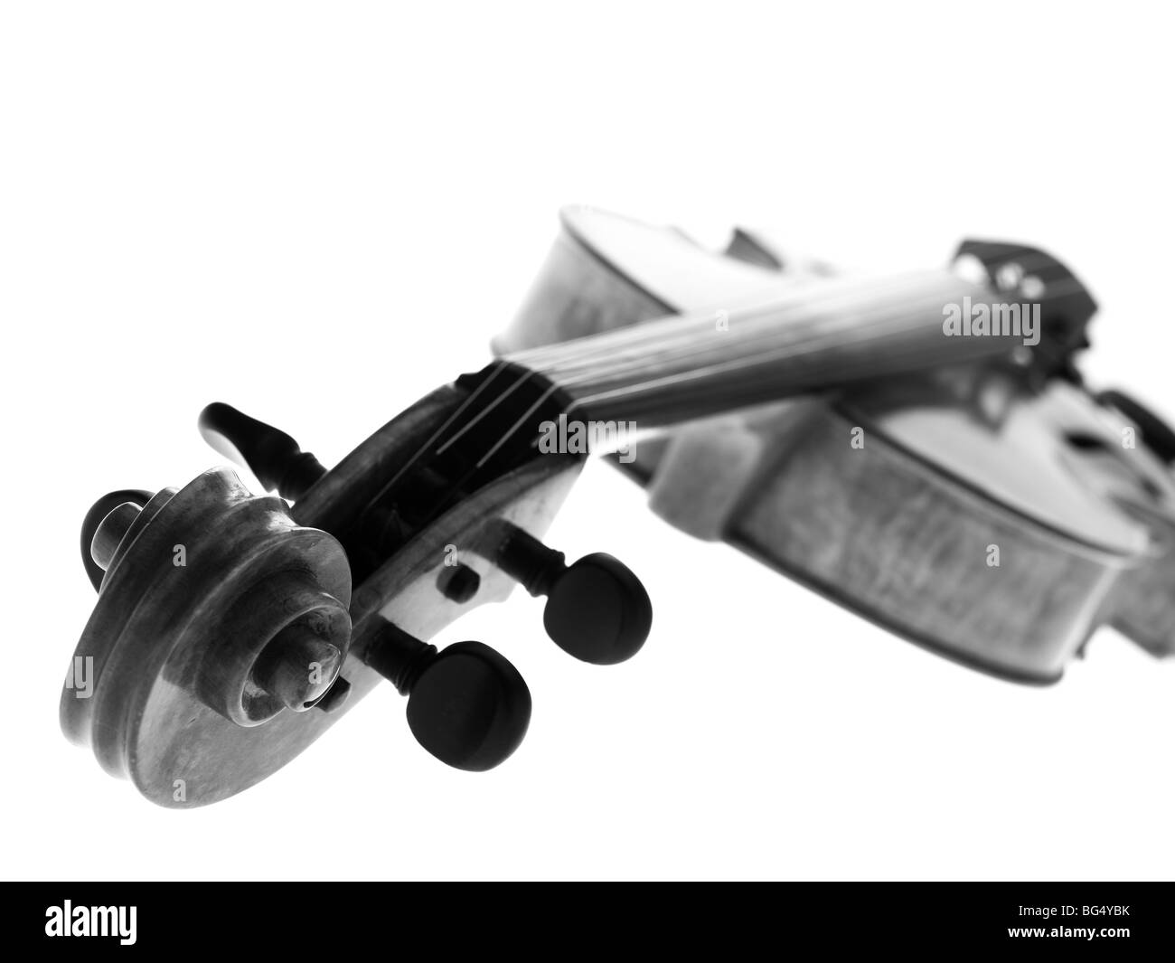 Violon, musique, comédie musicale, instrument, jouer, dentelle, toujours, la vie, la musique, les boutons Banque D'Images