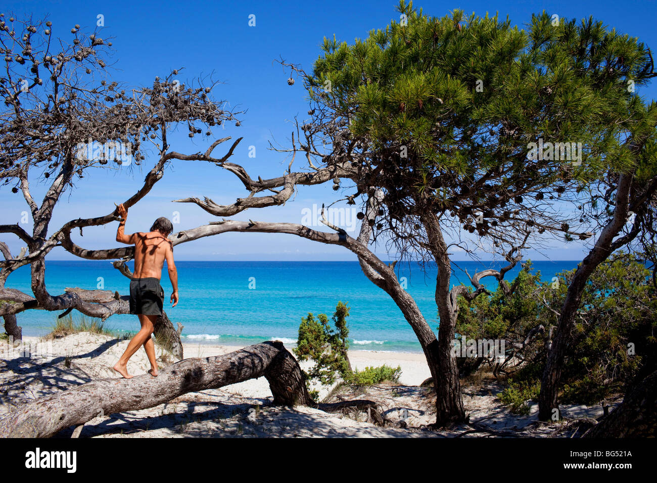 France, Haute Corse, Désert des Agriates, la plage de Saleccia Banque D'Images