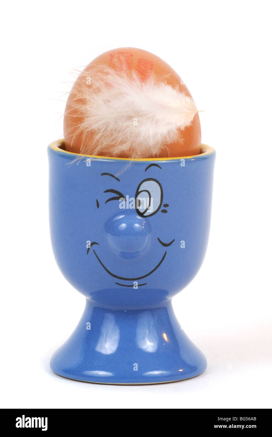 Free Range oeuf de poulet bio Banque D'Images