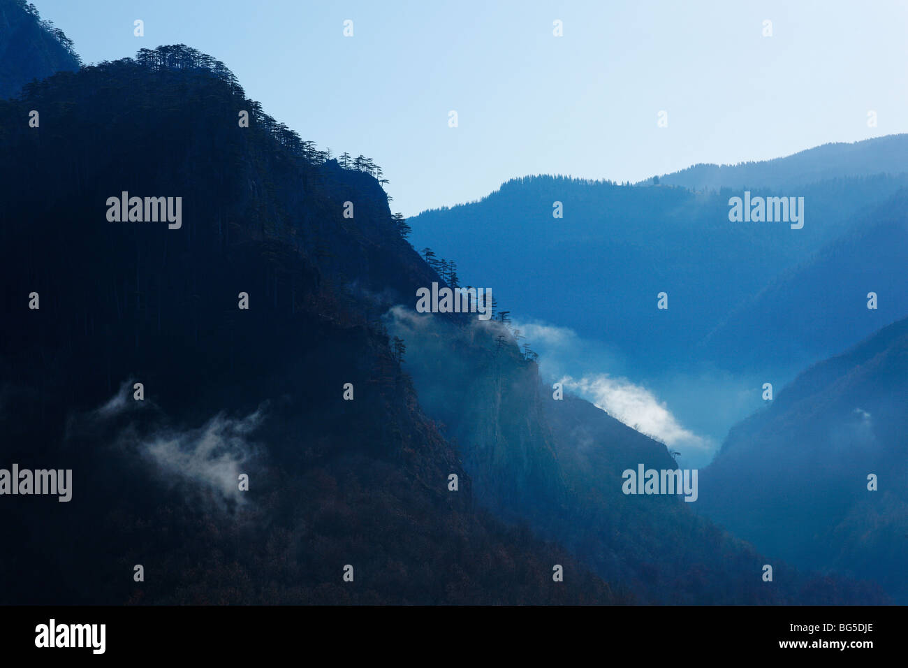 Le Monténégro, Djurdjevica Tara River, brouillard, fogy matin Banque D'Images
