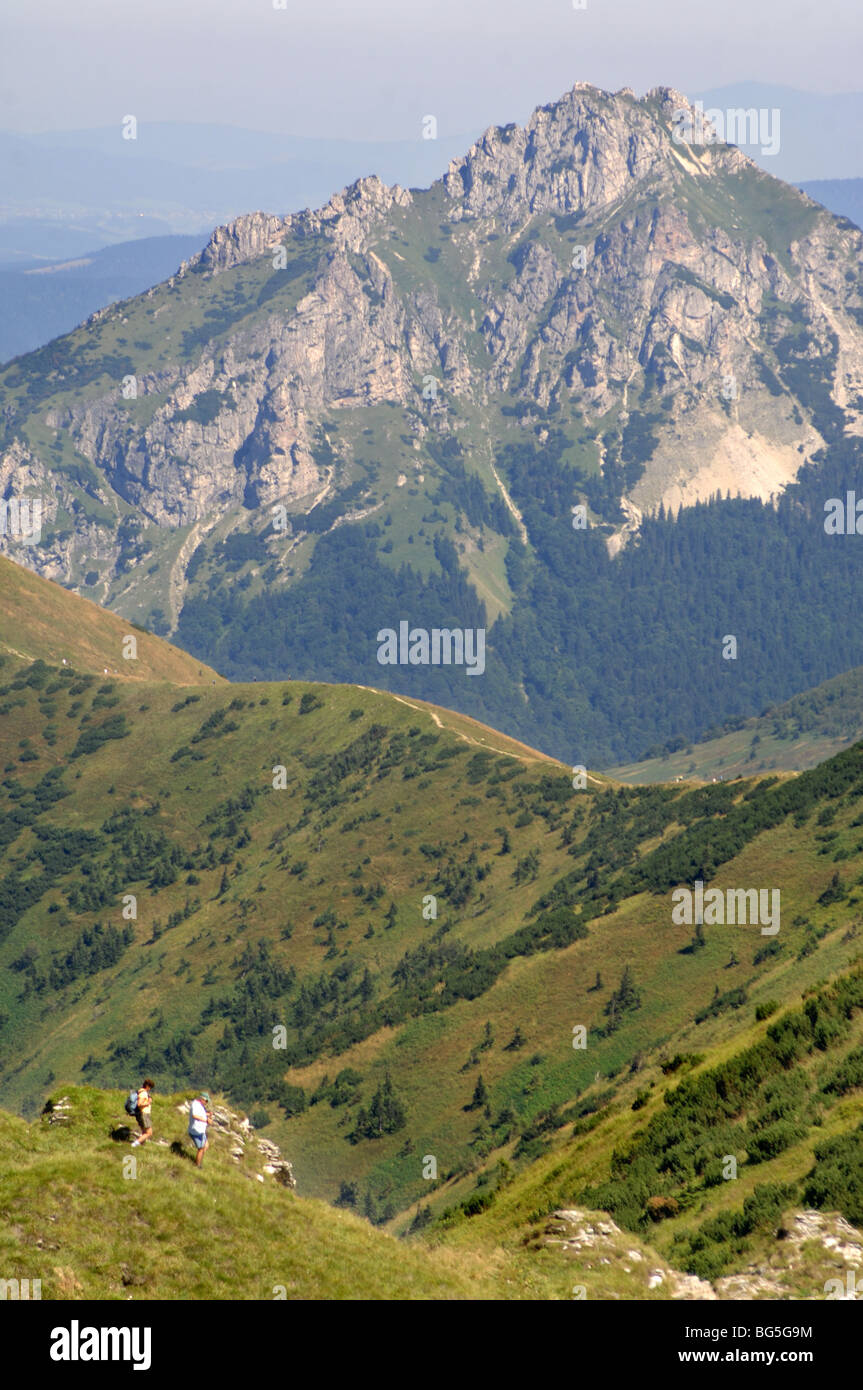 Les randonneurs près du sommet de la montagne Chleb le Parc National de Mala Fatra Slovaquie Banque D'Images