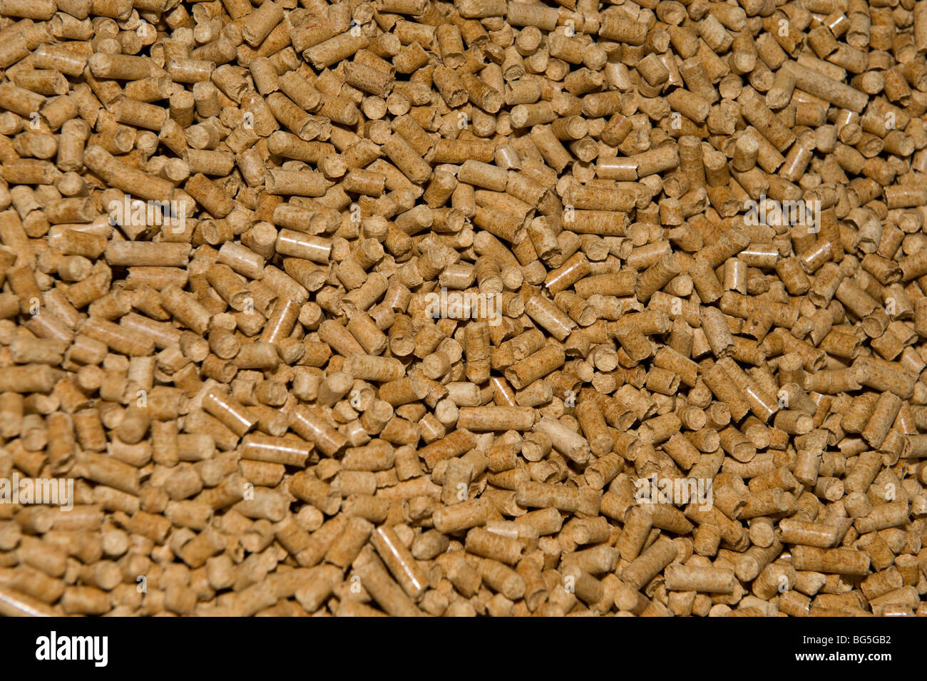 Granulés de bois combustible pour l'efficacité énergétique des bio-masse de chaudière pour le chauffage central Banque D'Images