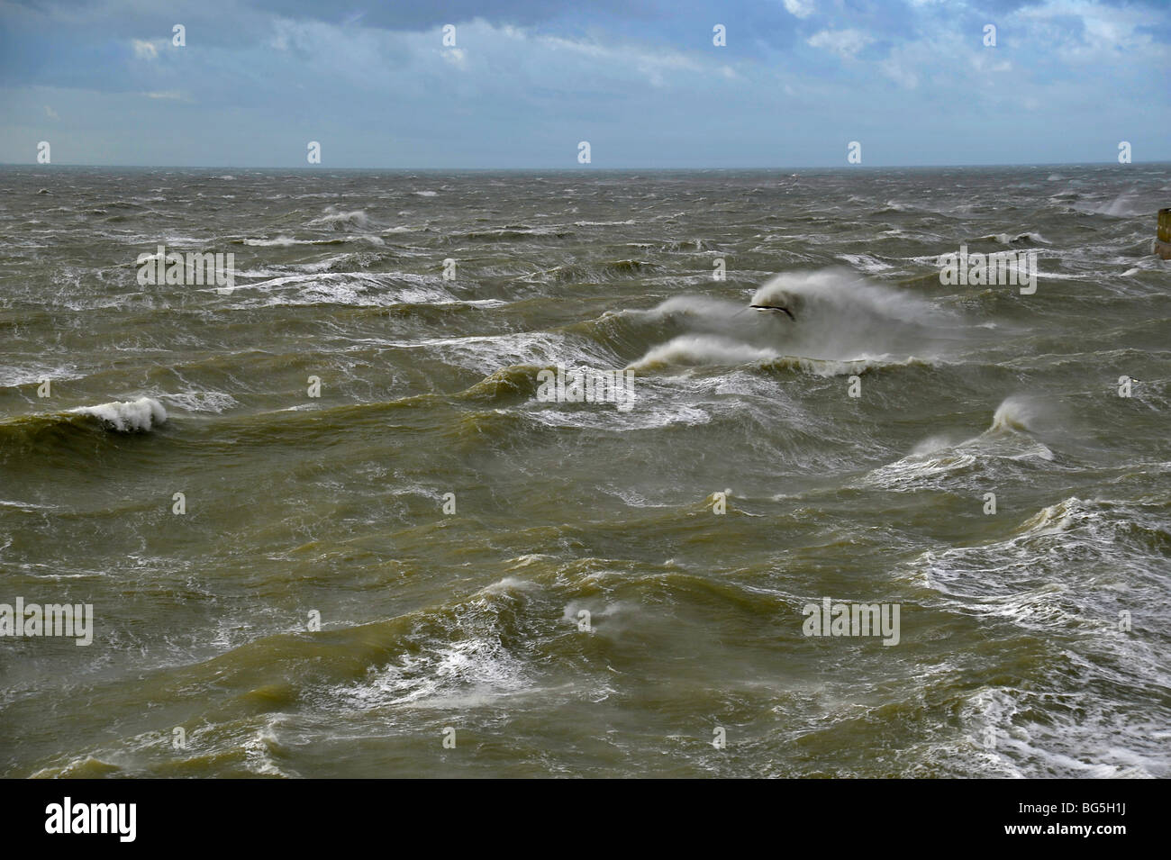 Gale force des mers Banque D'Images