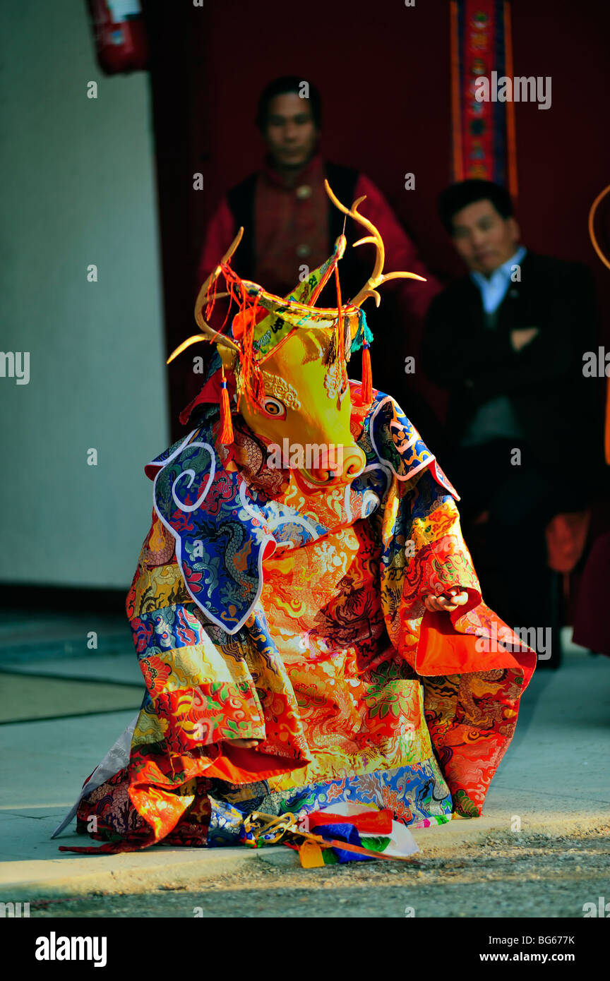 Paris, FRA-nce, moine tibétain en robe traditionnelle, danse rituelle du masque animal, cérémonie bouddhiste, Banque D'Images