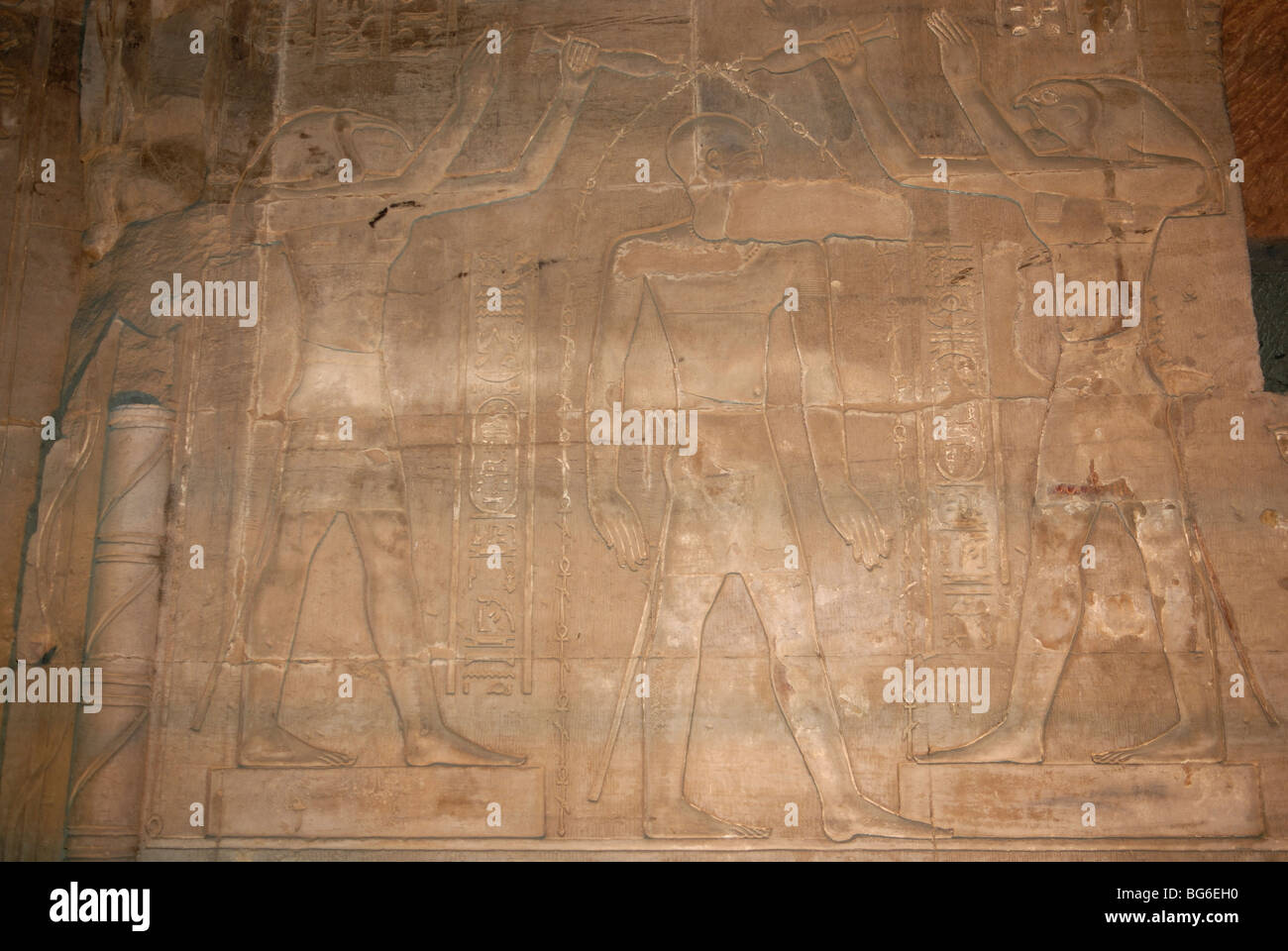 Reliefs montrant dieu égyptien Horus sur un mur au Temple de Kom Ombo la nuit en Egypte Banque D'Images