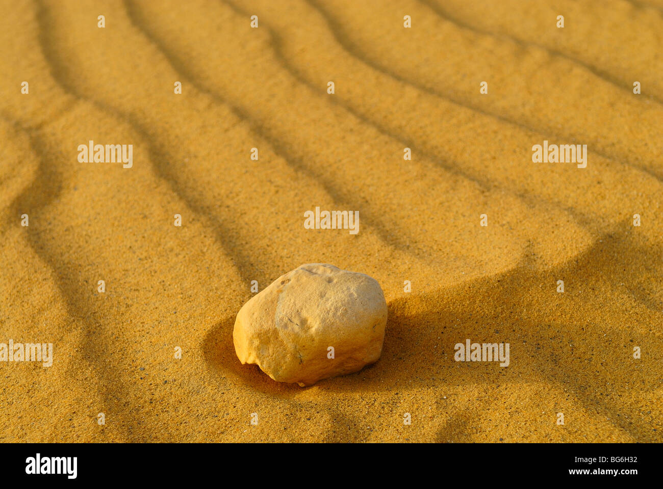 Galet sur le sable dans le désert occidental de l'Égypte Banque D'Images