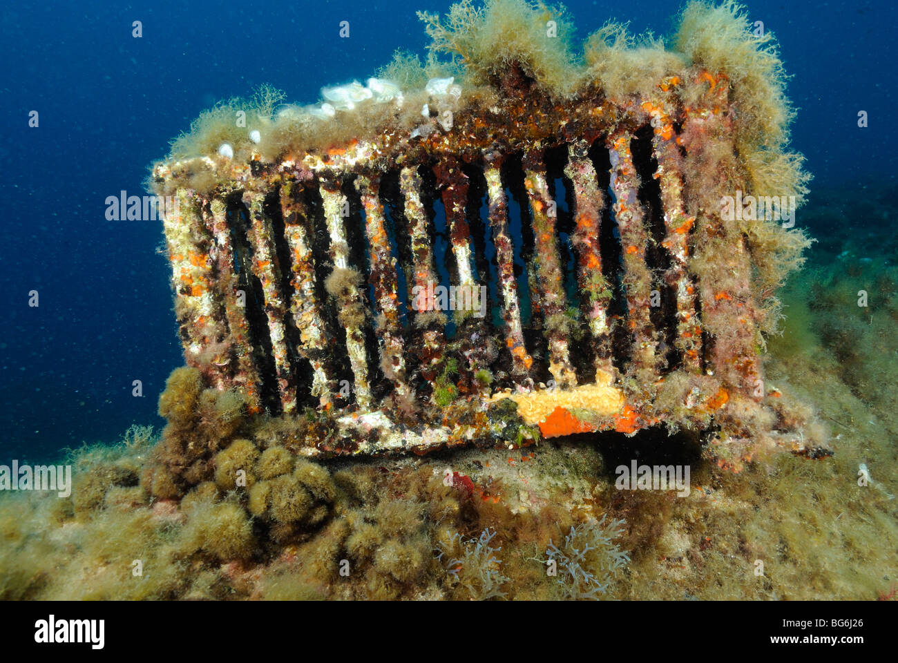 Casier à homard dans la mer Méditerranée, au large de Monaco Photo Stock -  Alamy