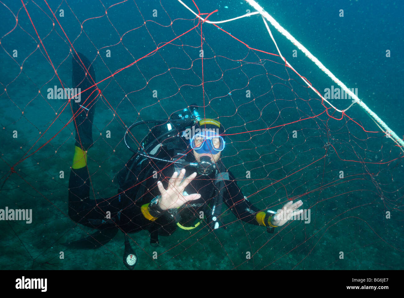 Plongée sous marine à proximité d'un filet de pêche dans la mer Méditerranée, au large de la côte de Monaco Banque D'Images