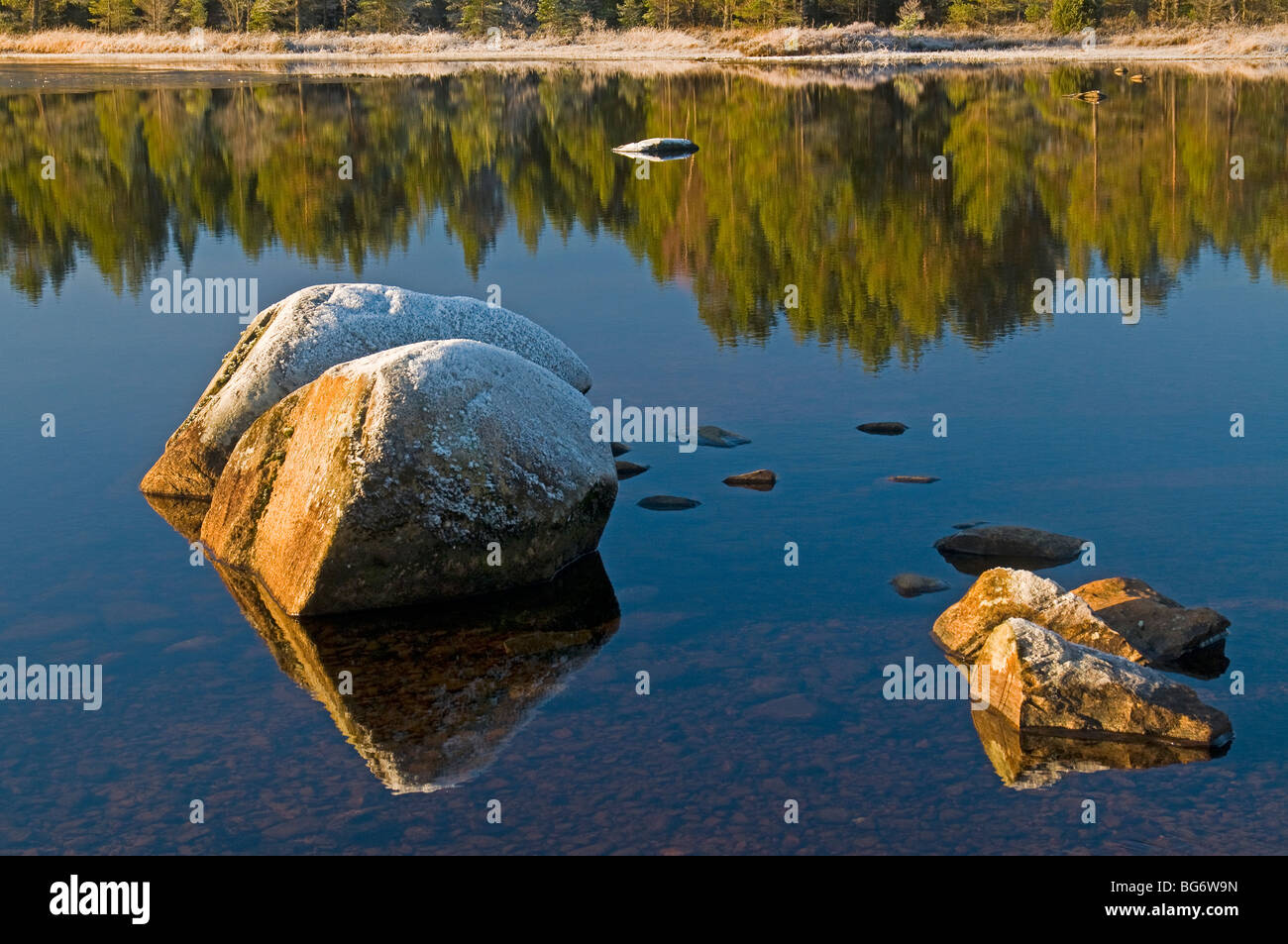 Hiver gel et soleil sur les roches du littoral sur le Loch Morlich Glenmore, Aviemore. 5614 SCO Banque D'Images