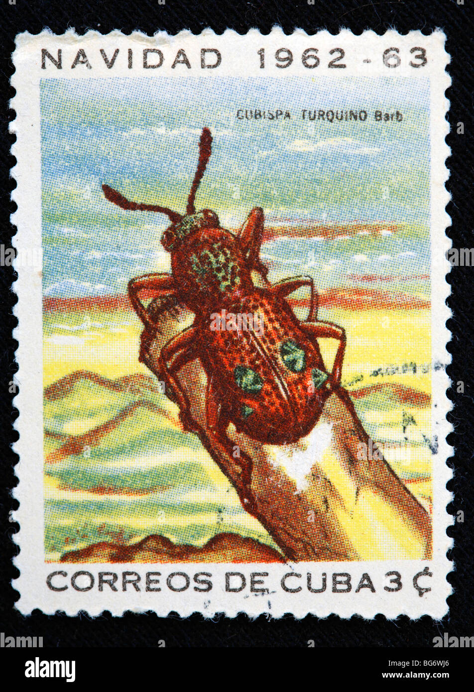 Cubispa turquino, timbre-poste, Cuba, 1963 Banque D'Images