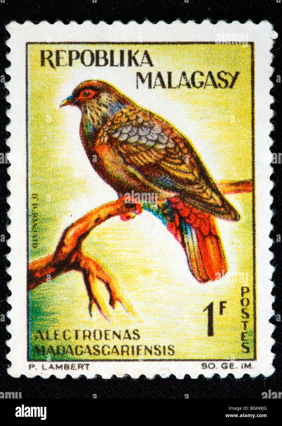 Madagascar-bleu pigeon (Alectroenas madagascariensis), timbre-poste, Madagascar (Madagascar) Banque D'Images