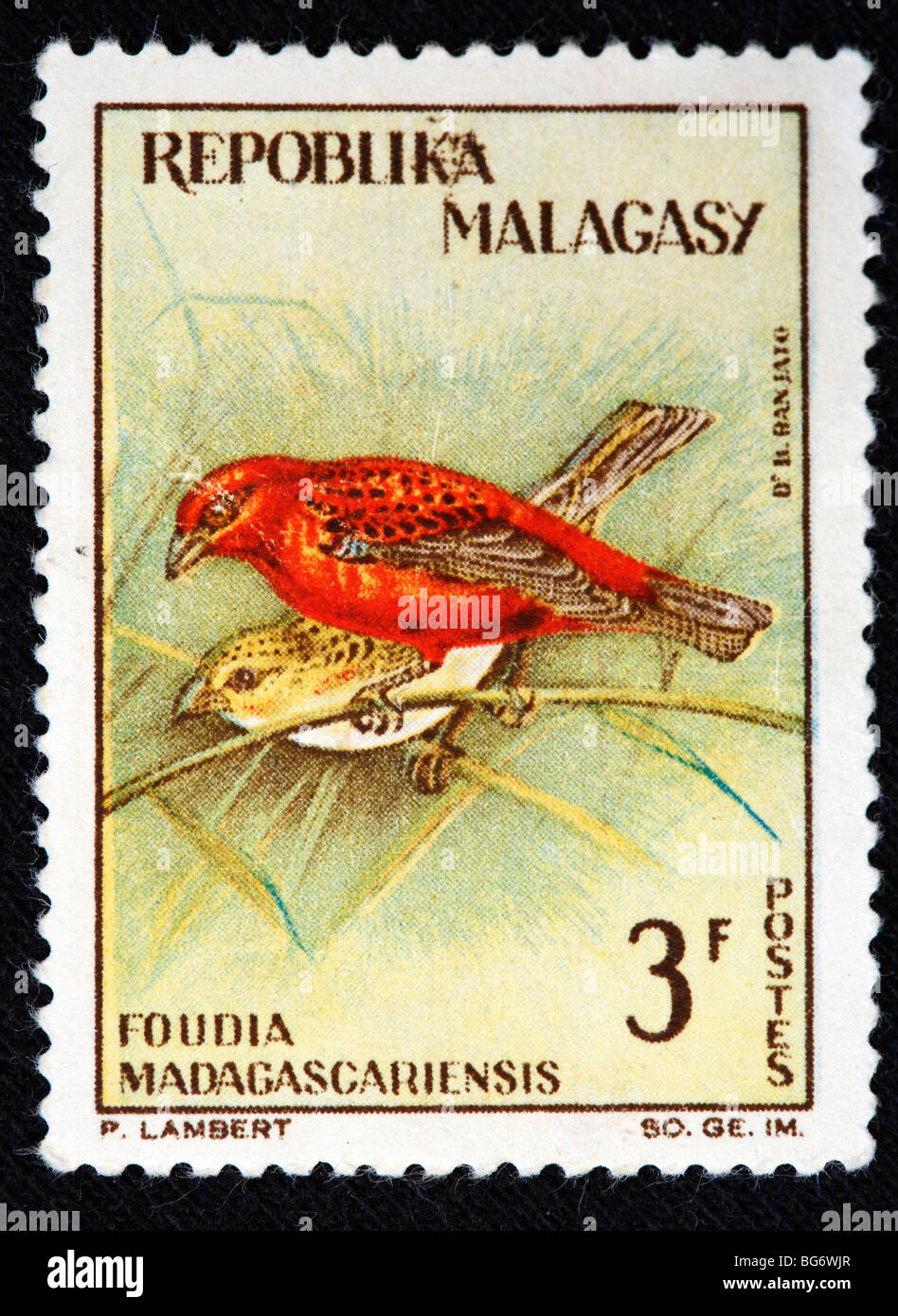 Foundia madagascariensis, timbre-poste, Madagascar (Madagascar) Banque D'Images
