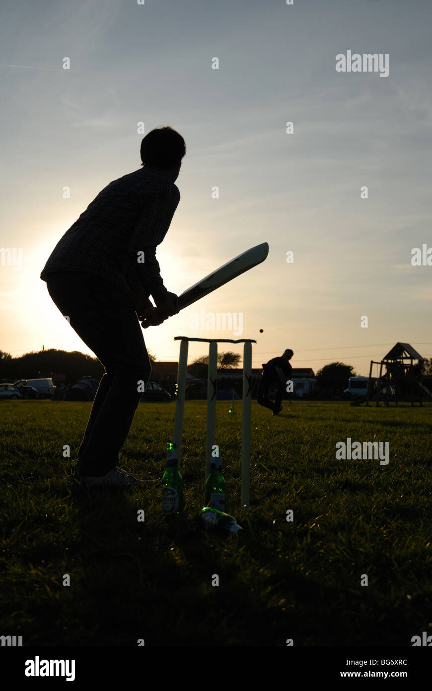 Le Cricket Banque D'Images