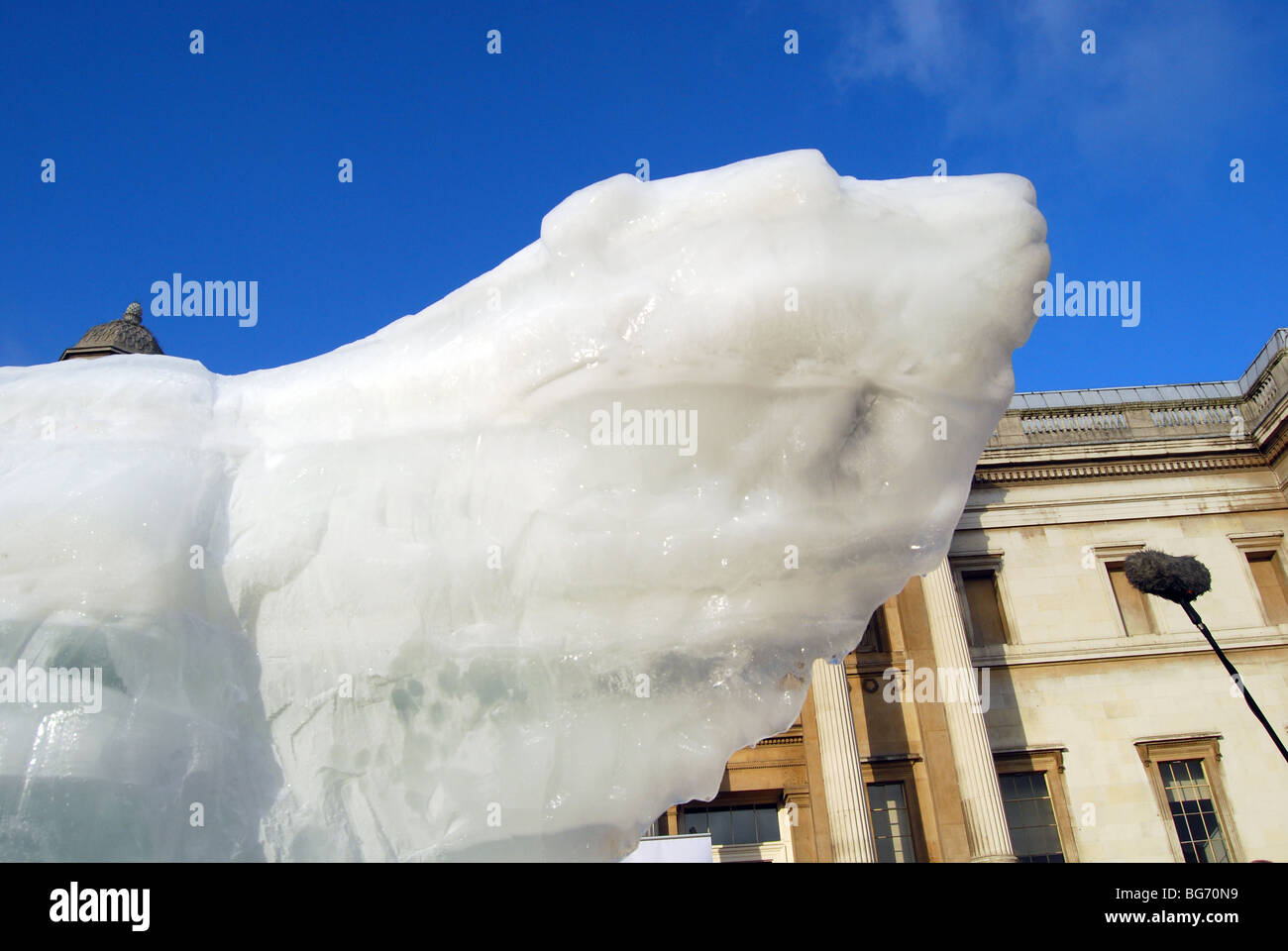 Le London Ice Bear ice shelf bien hot 'Réchauffement climatique' effondrement écologique Banque D'Images