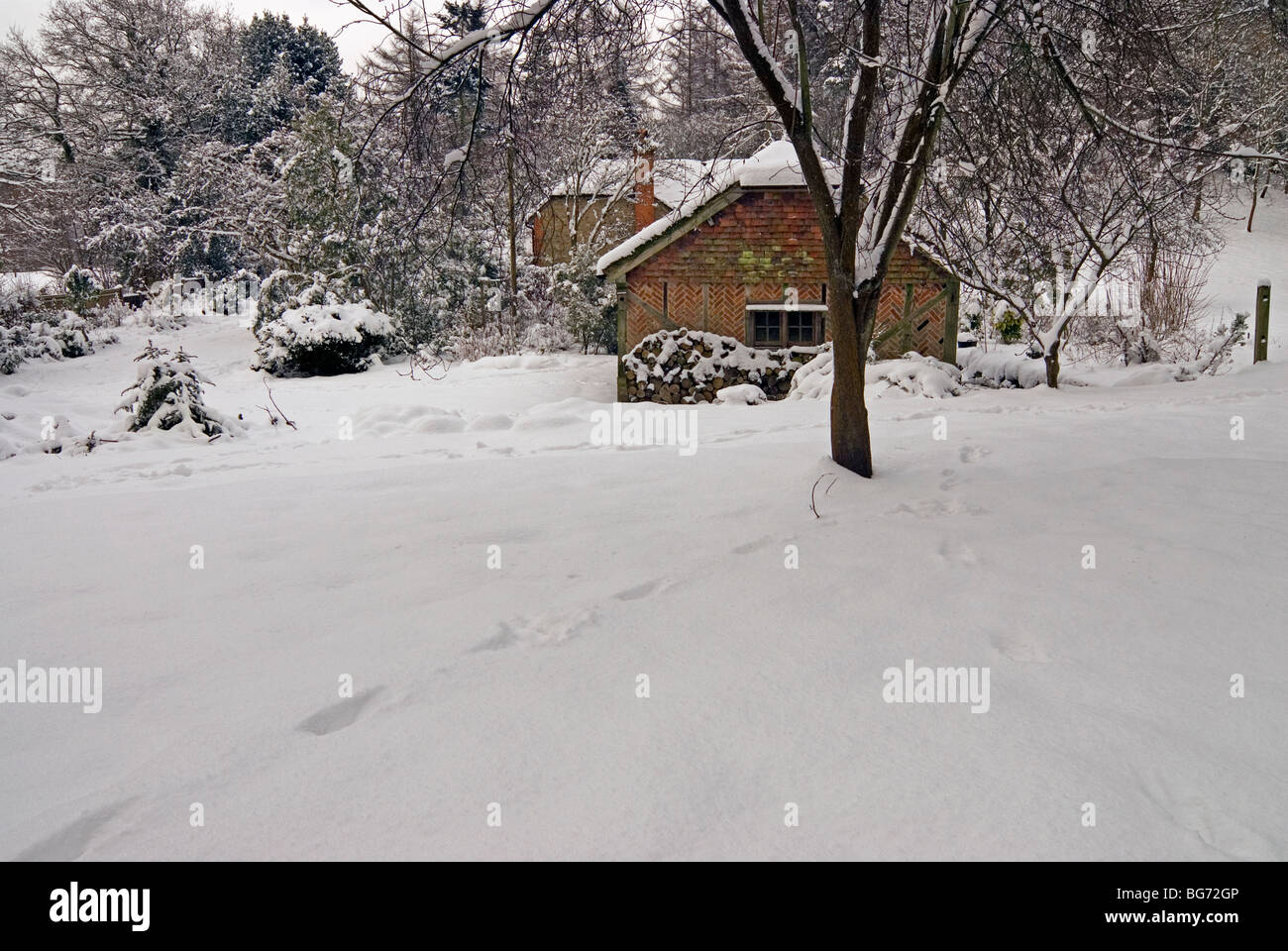 Paysage de neige scène, avec des empreintes profondes dans la neige vierge avec un chêne de style tudor grange, sciage empilées à côté en Angleterre Banque D'Images