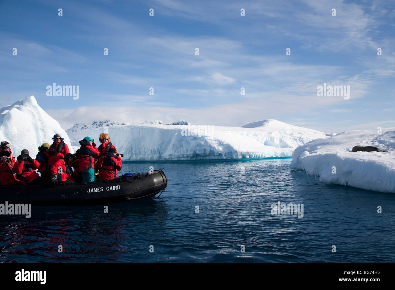 Expedition cruise ship passagers bénéficiant d'une croisière en zodiac Pleneau Island, Antarctica Banque D'Images
