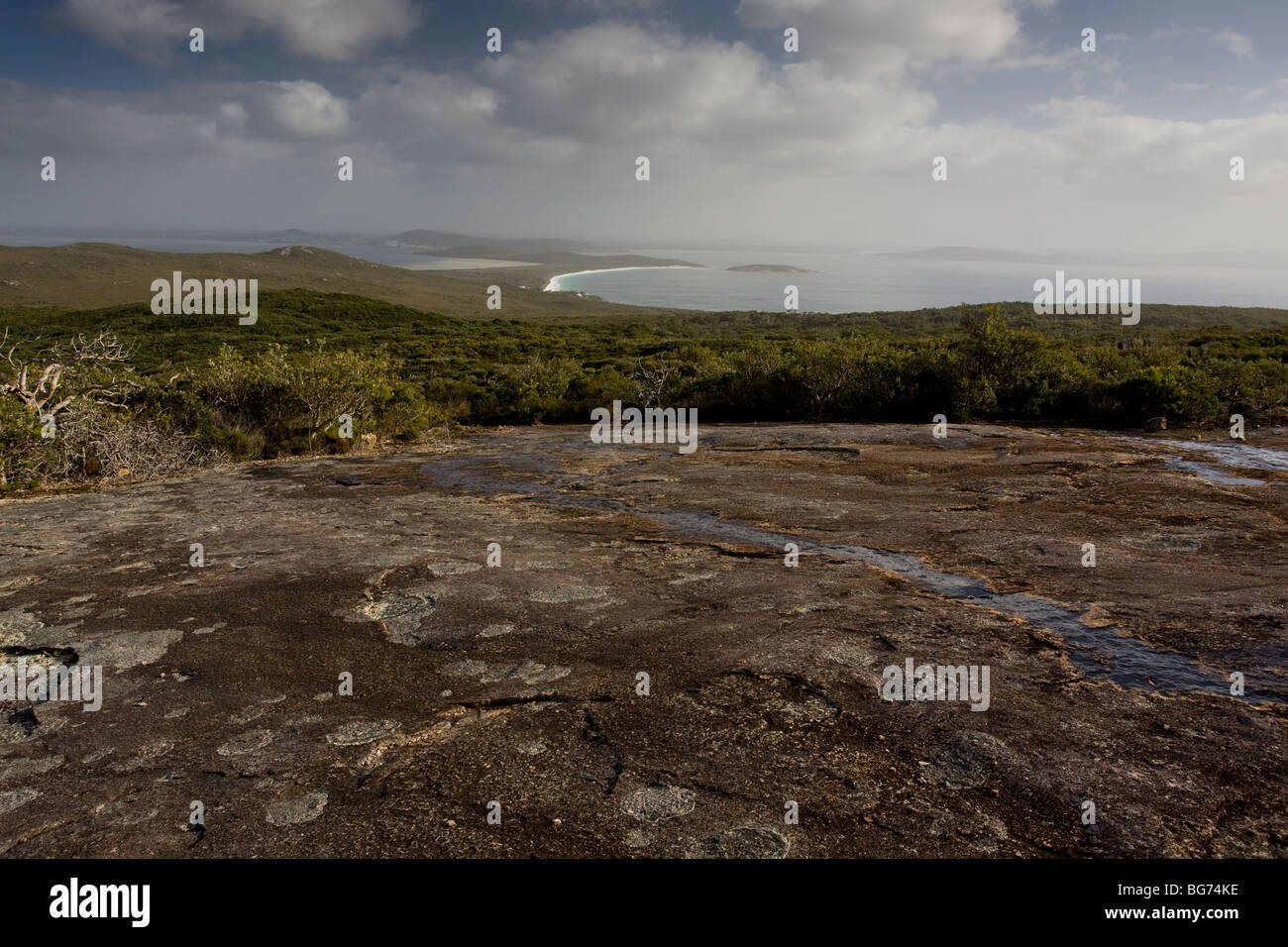 Pré-cambrien anciens dômes granitiques, une végétation rabougrie dans le Torndirrup National Park, Albany, au sud-ouest de l'Australie Banque D'Images