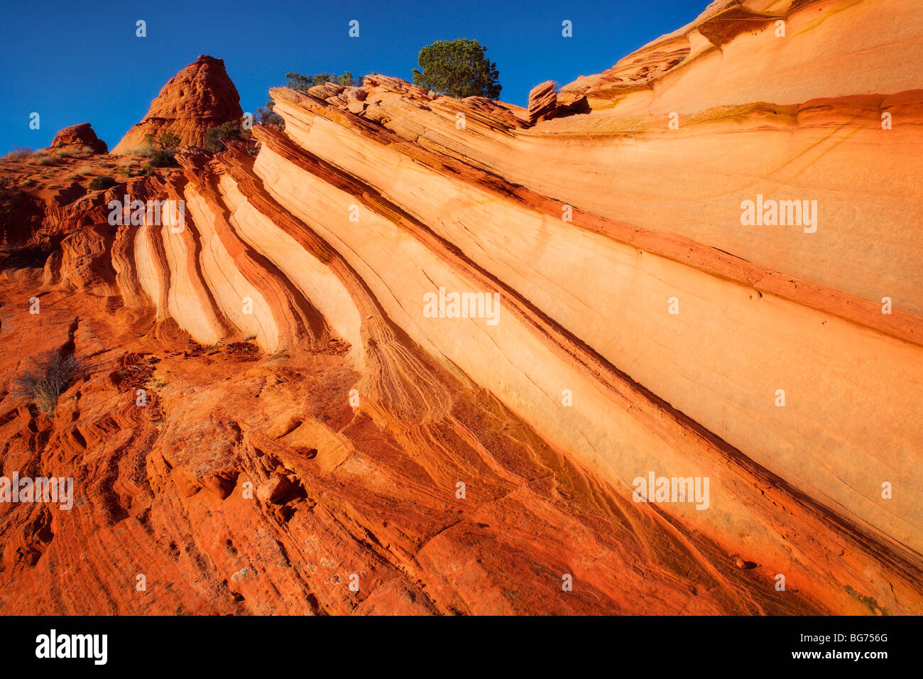 Grès strié de Vermilion Cliffs National Monument, Arizona Banque D'Images
