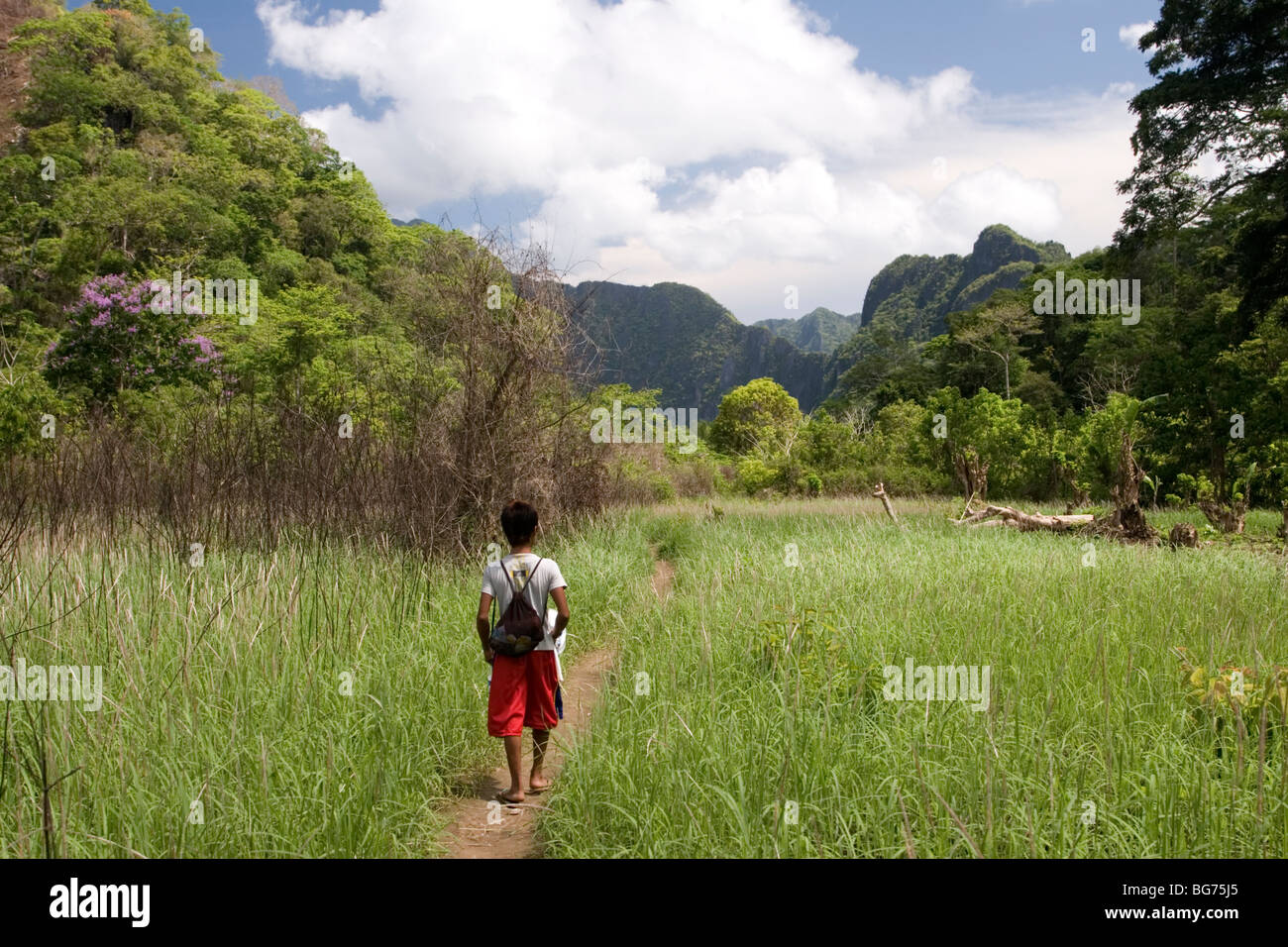 Un champ en jachère dans un petit endroit entouré de montagnes karstiques à Cabugao village de l'Île Coron en Philippines. Banque D'Images