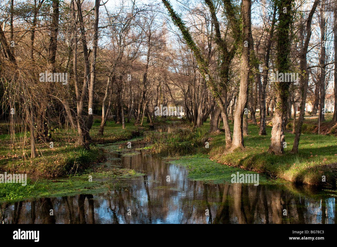 Park et de la rivière dans le village de Brissac, Hérault, sud de la France Banque D'Images