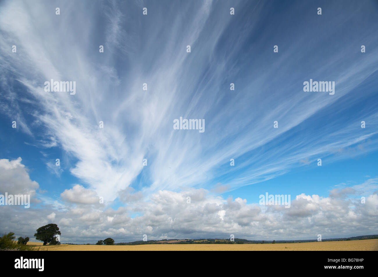 whispy nuages Banque D'Images