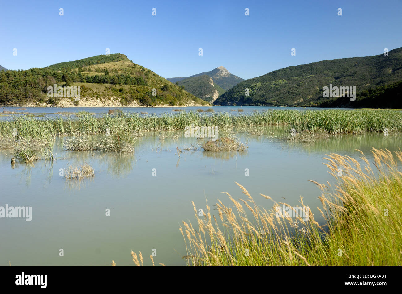 Le lac de Castillon et roselières, vallée du Verdon, Saint-André-les-Alpes, Alpes de Haute Provence, Provence, France Banque D'Images