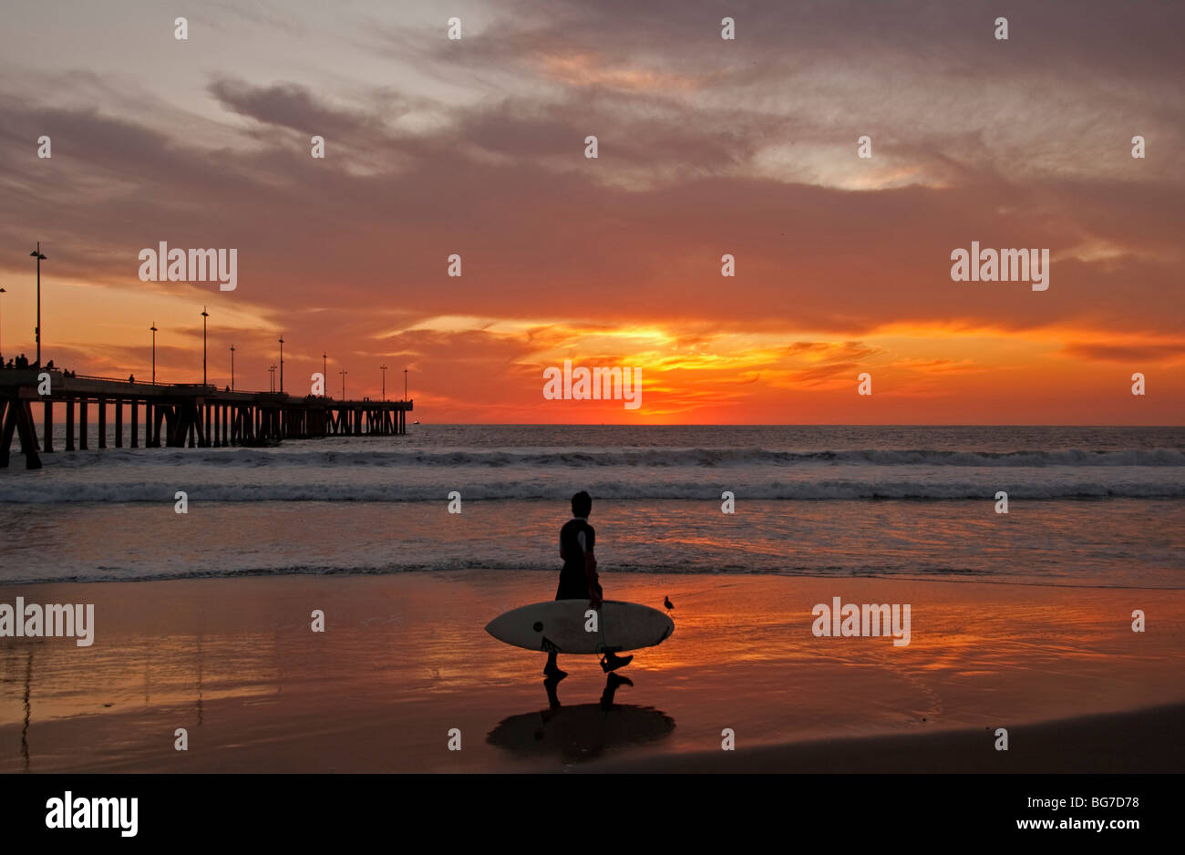 Surfer marcher le long de plage au coucher du soleil près de Venice Fishing Pier, Venice Beach, Californie. Banque D'Images