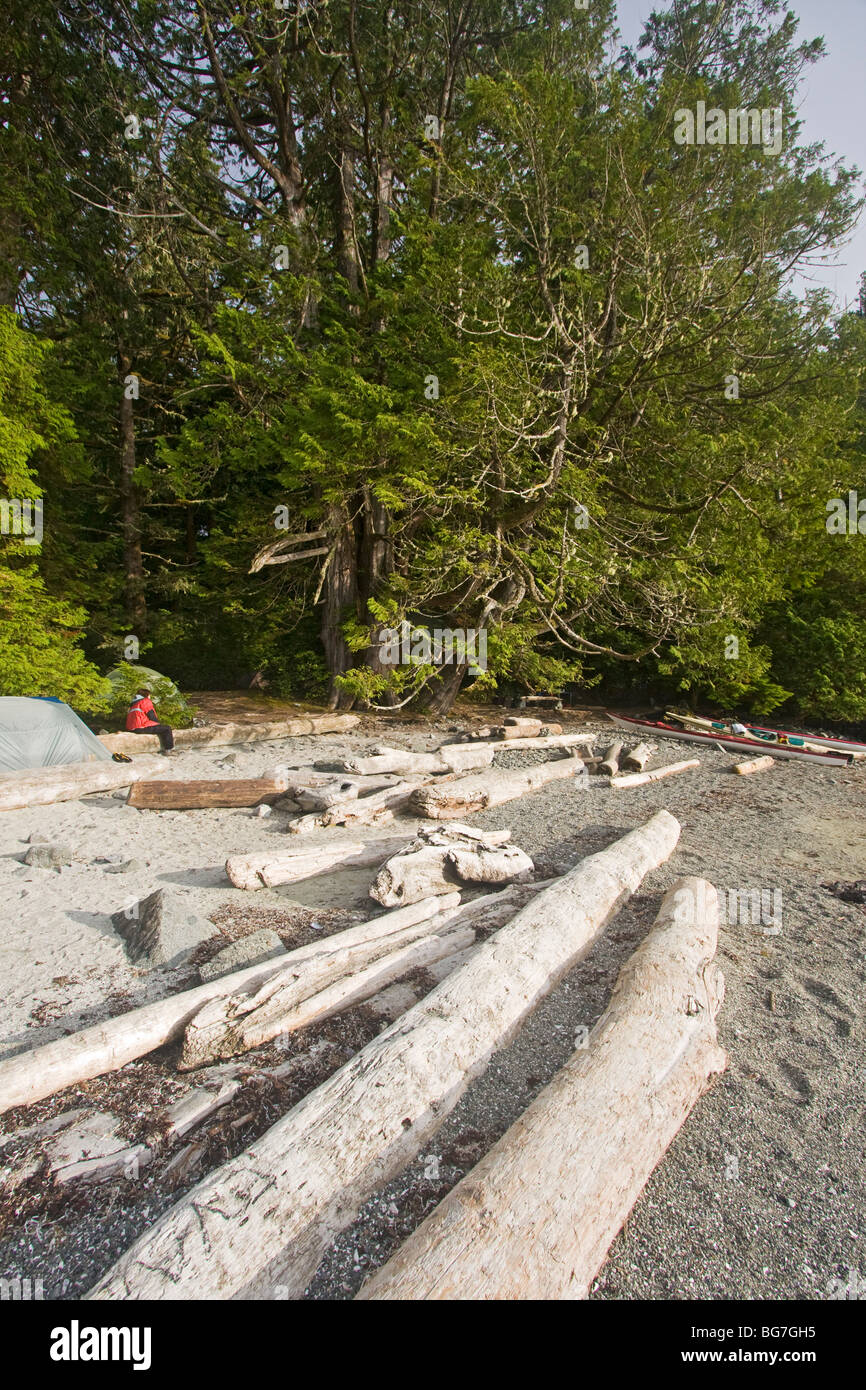 Wilderness tente de camping à l'île de Willis dans l'Archipel du parc national Pacific Rim, l'ouest du Canada Banque D'Images