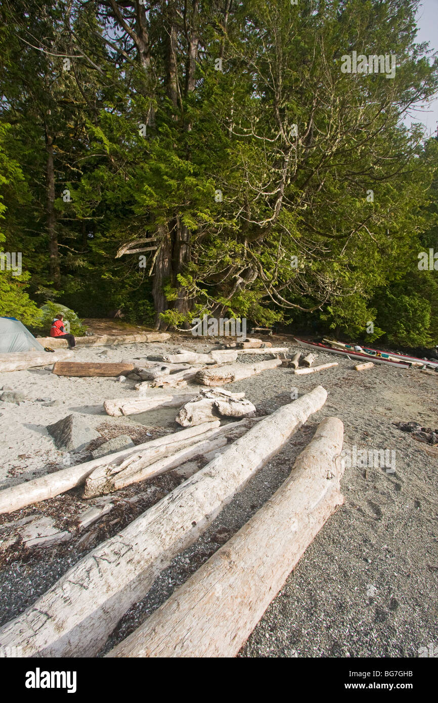 Wilderness tente de camping à l'île de Willis dans l'Archipel du parc national Pacific Rim, l'ouest du Canada Banque D'Images