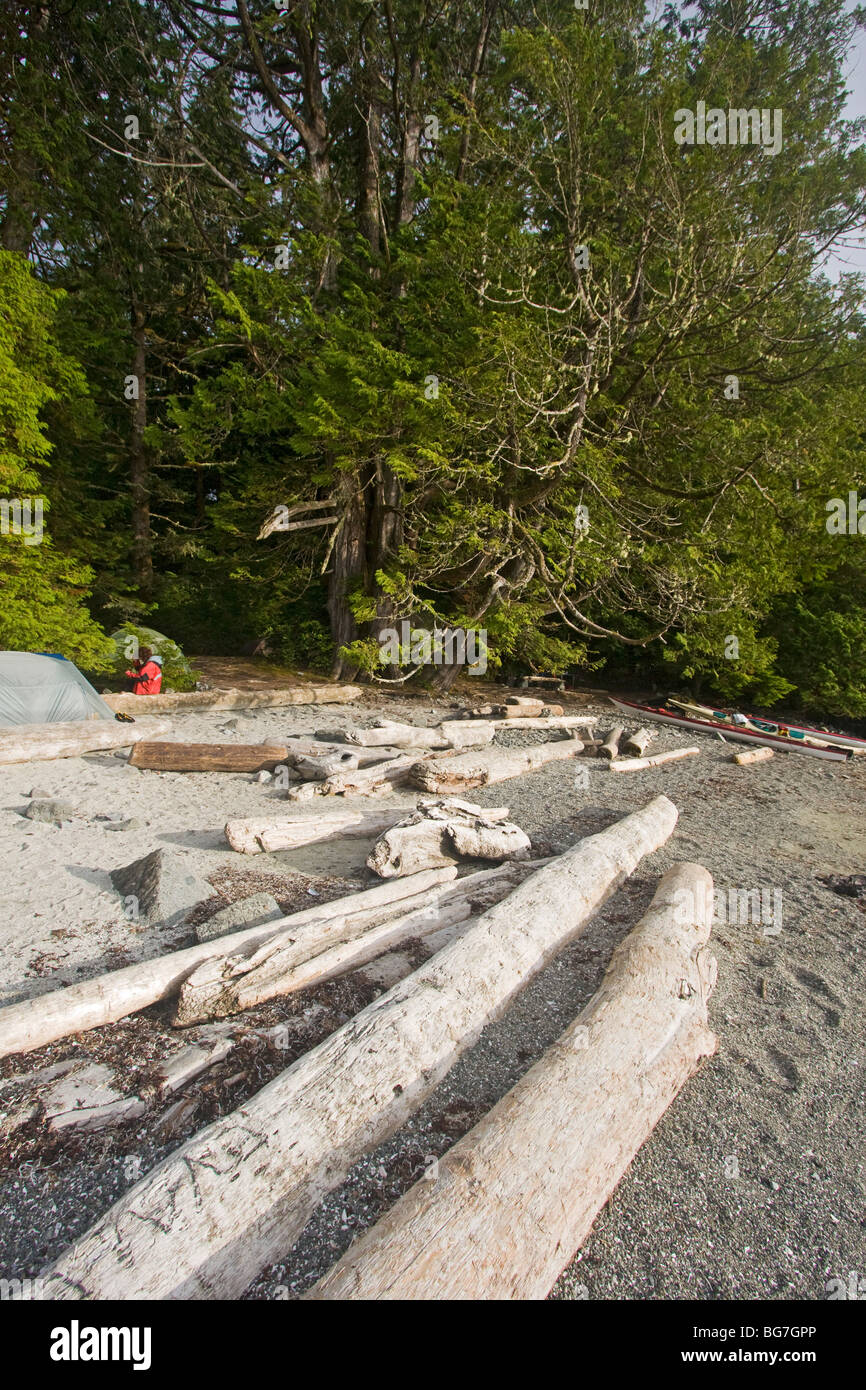 Wilderness tente de camping à l'île de Willis dans l'Archipel du parc national Pacific Rim, l'ouest du Canada Banque D'Images
