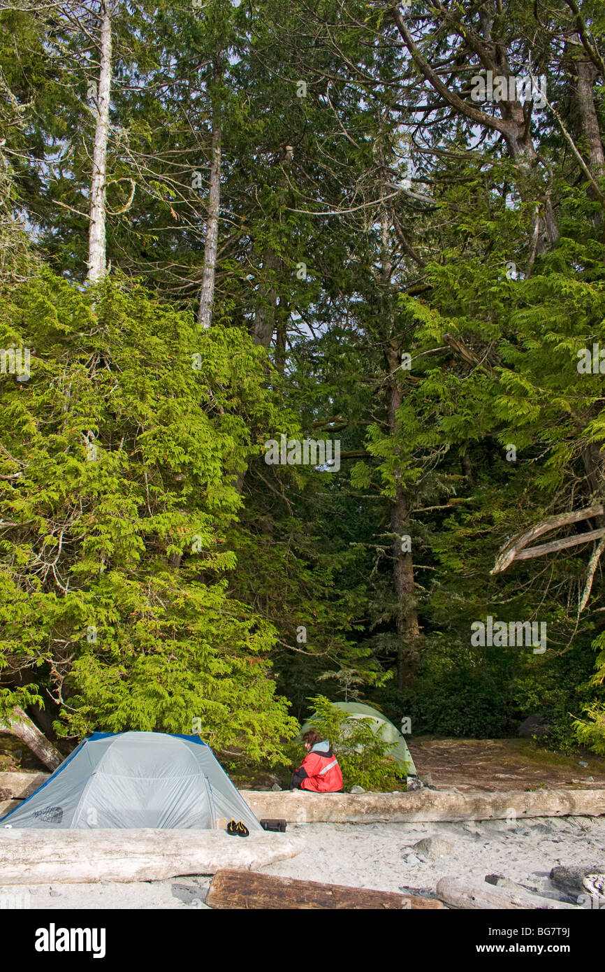 Wilderness tente de camping à l'île de Willis dans l'Archipel du parc national Pacific Rim, l'ouest du Canada Banque D'Images