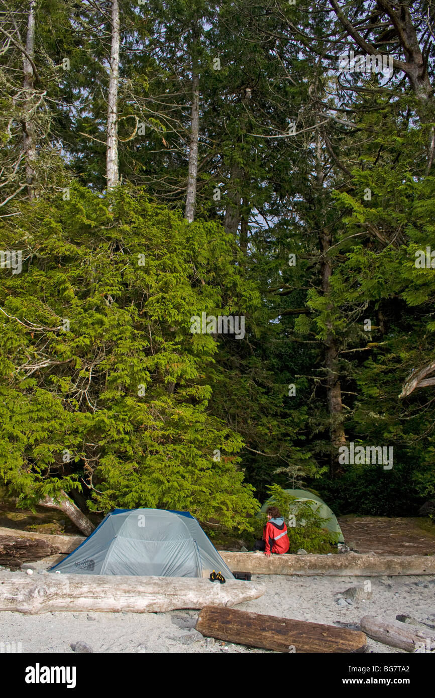 Wilderness tente de camping à l'île de Willis dans l'Archipel du parc national Pacific Rim, l'ouest du Canada Banque D'Images
