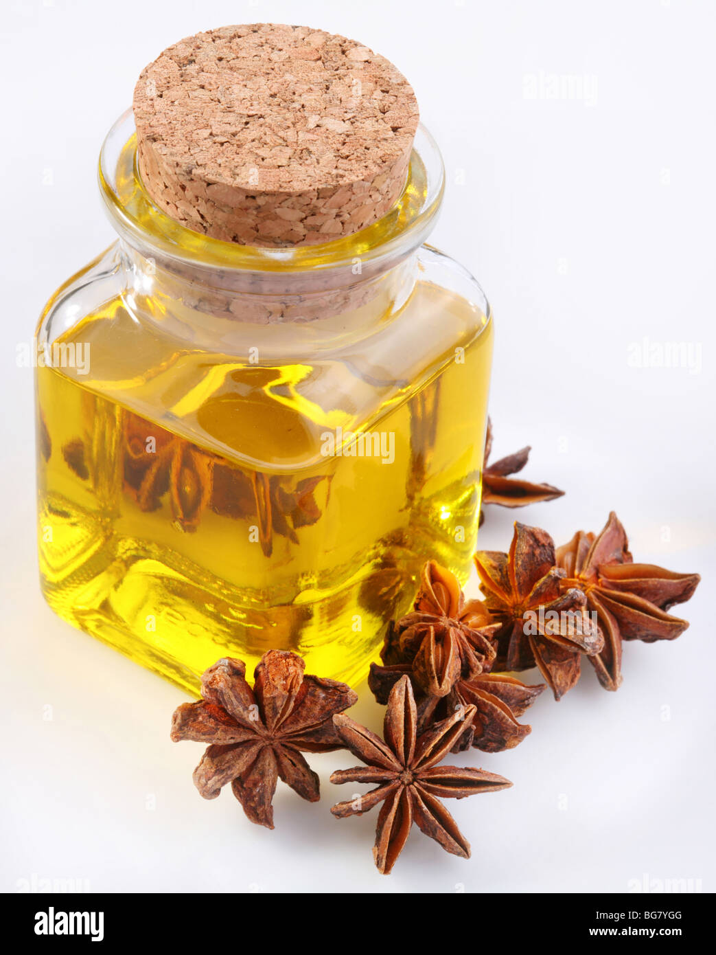 Huile d'anis avec les écrous à fond blanc Banque D'Images