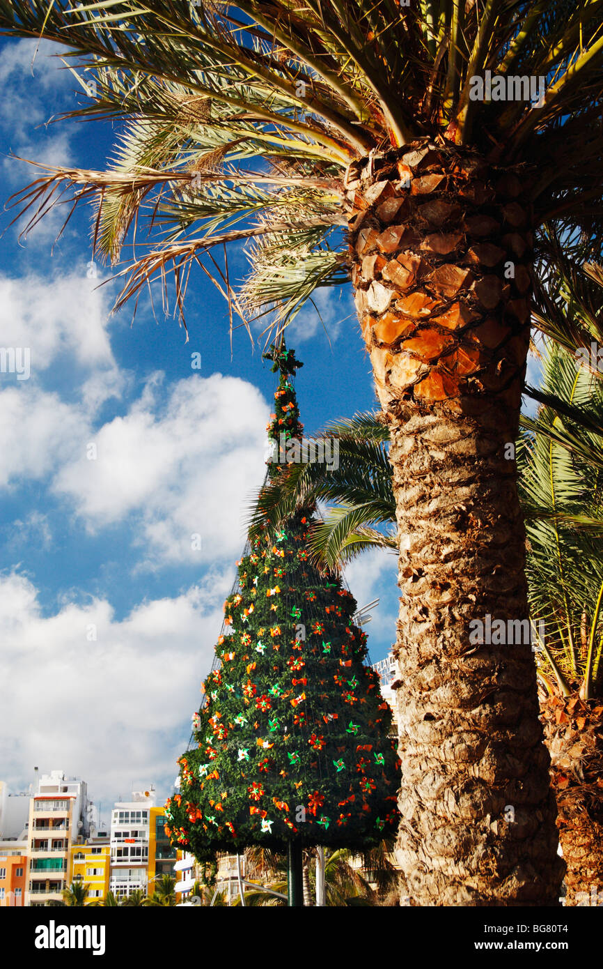 Arbre de Noël près de palm tree on beach en Espagne Banque D'Images