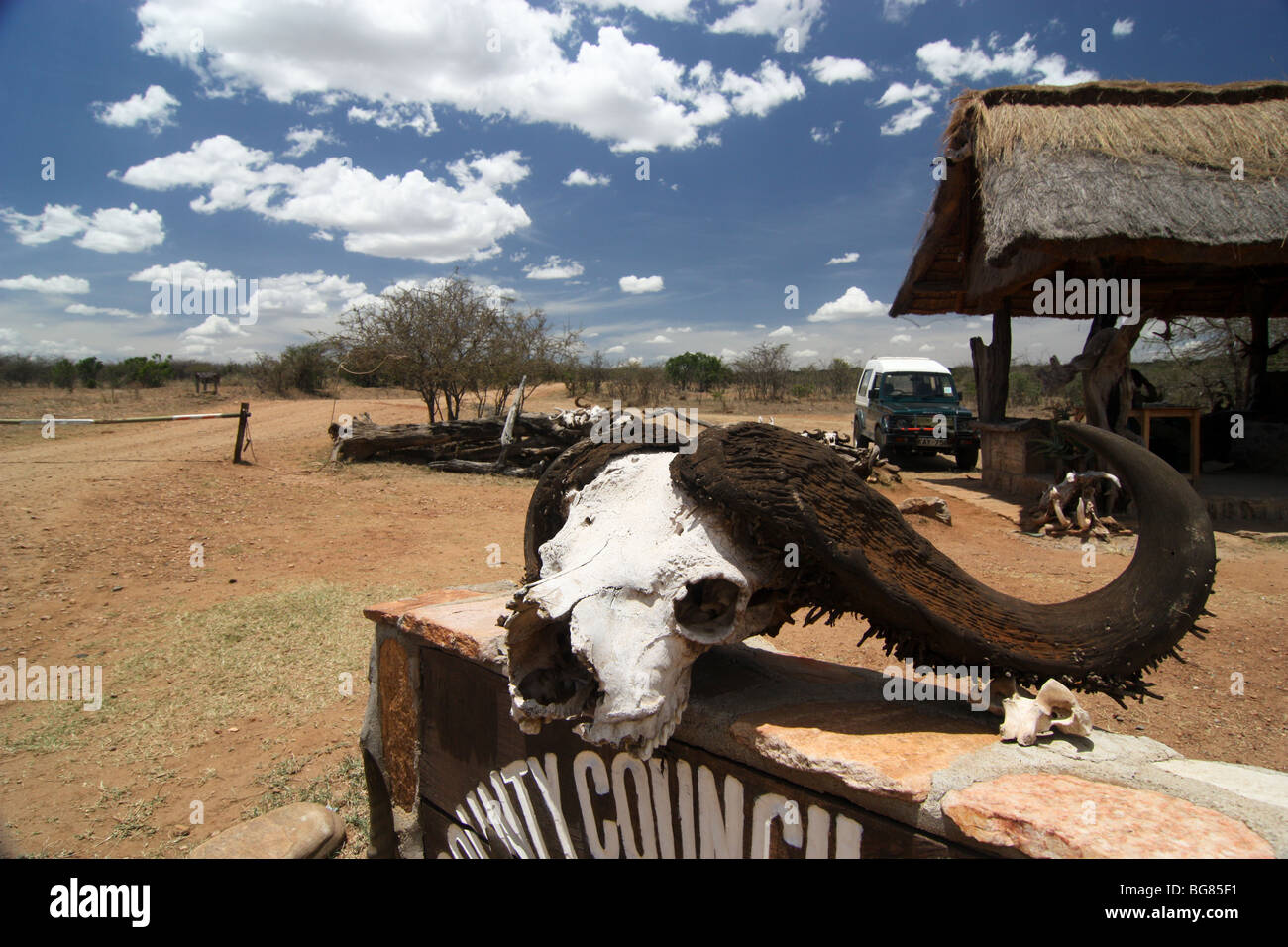 Crâne de l'animal sur un signe en Afrique Banque D'Images