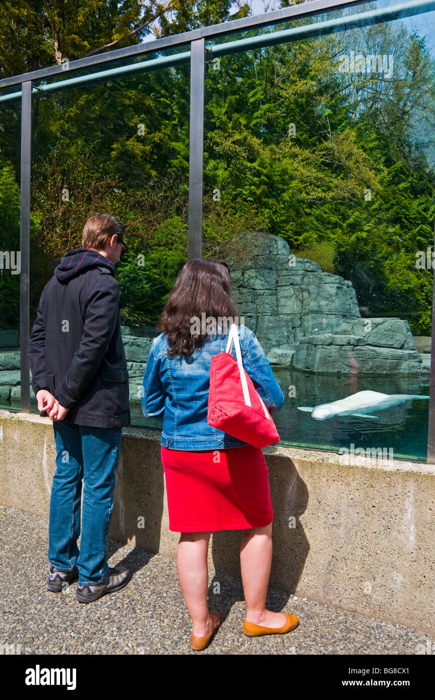 Aquarium le parc Stanley de Vancouver, Canada Banque D'Images