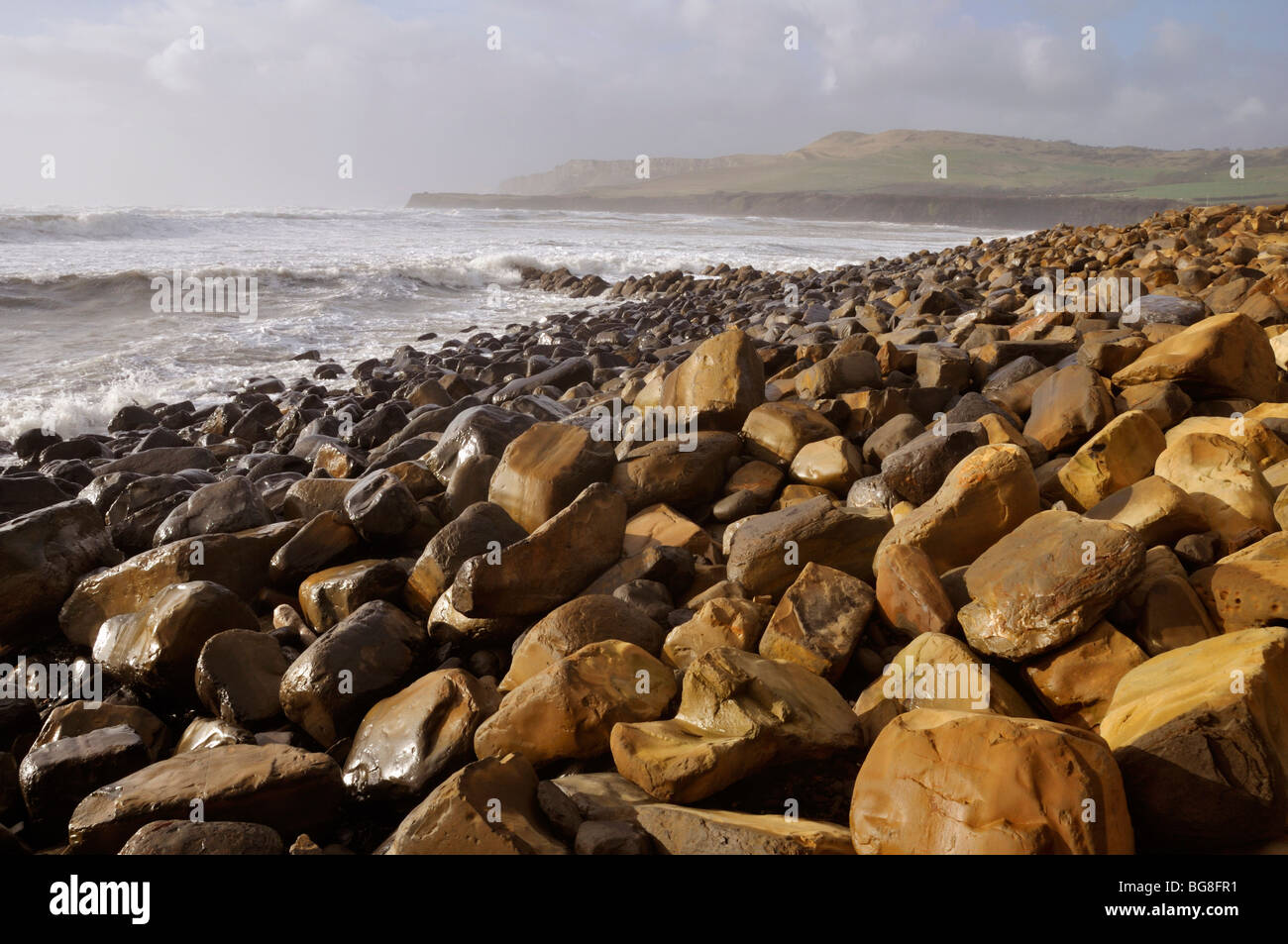 Cementstone jurassique sur plage, la baie de Kimmeridge, Dorset, Angleterre Banque D'Images