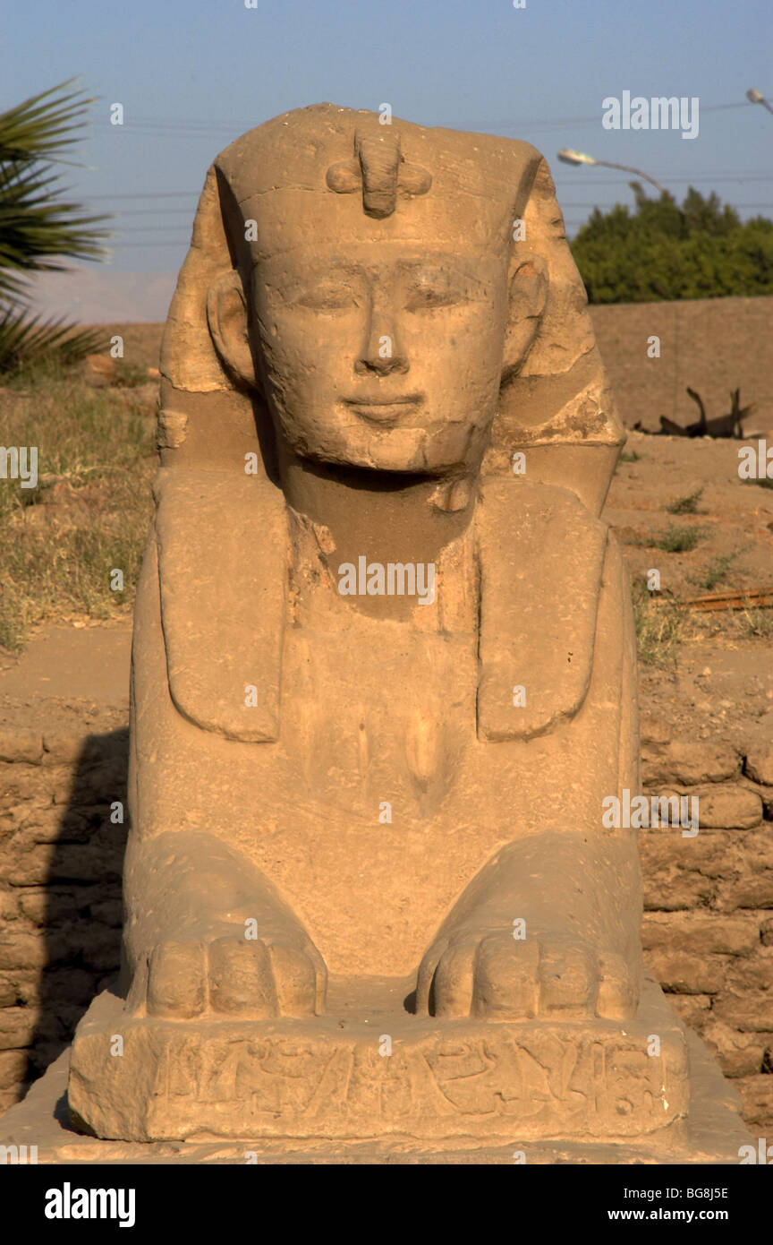 L'art égyptien. TEMPLE de Louxor. Sphinx situé dans l'Avenue des sphinx. Nouveau Royaume. "L'antique Thèbes, Waset. L'Égypte. Banque D'Images