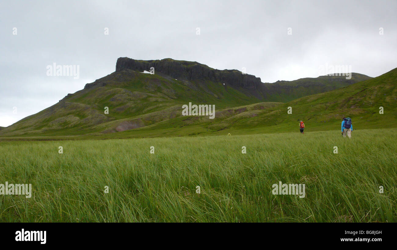 Islande : Eastfjords d'Islande Banque D'Images