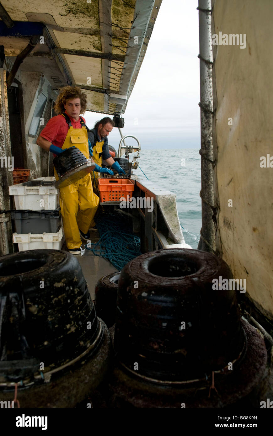 La pêche au buccin dans la baie de Granville (50) Banque D'Images